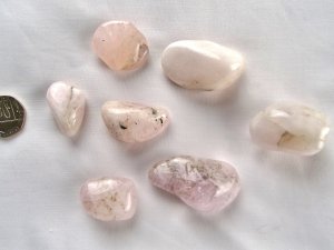 Morganite - B grade: tumbled stones (xxlarge)