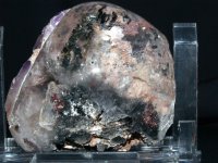 (image for) Rare and Unusual