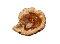 (image for) Petrified (Fossilised) Wood: polished slice (Madagascar)