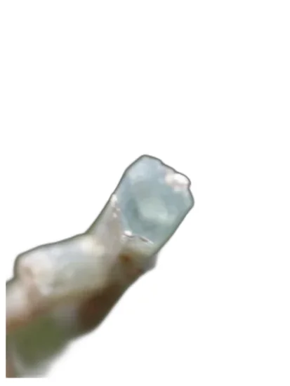 A generic image