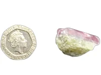 (image for) Tourmaline - Watermelon: crystal - B grade