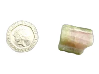 (image for) Tourmaline - Watermelon: crystal - B grade
