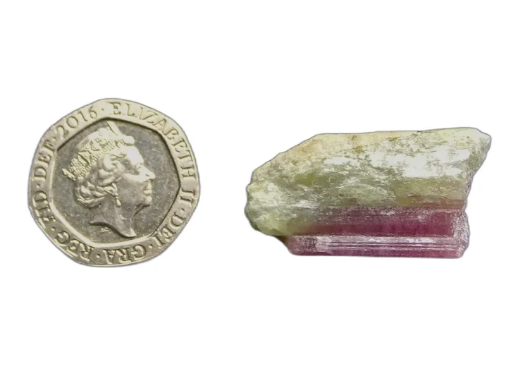 (image for) Tourmaline - Watermelon: crystal - B grade