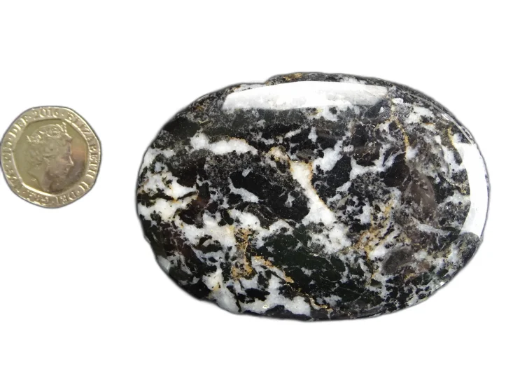 (image for) Zebra Jasper: palmstone