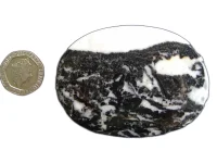 (image for) Zebra Jasper: palmstone