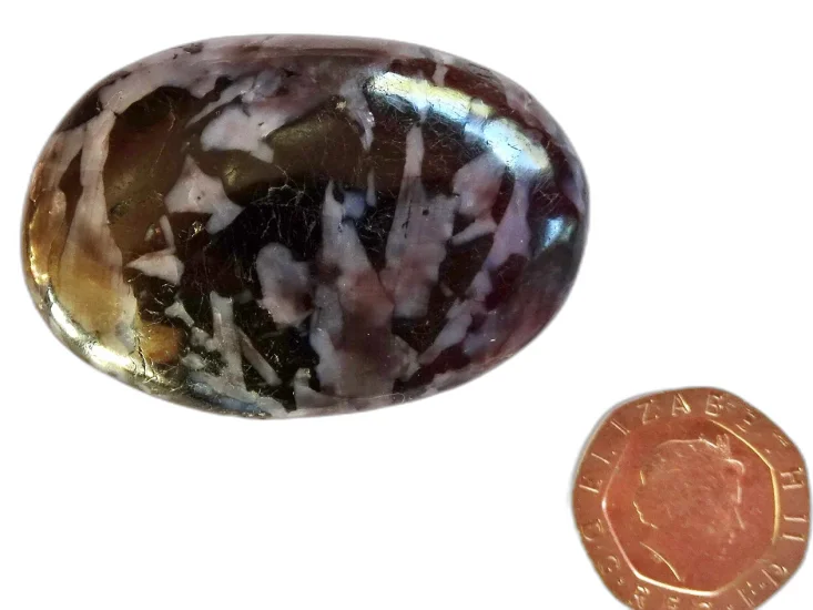 (image for) Indigo Gabbro (Mystic Merlinite): palmstone (Madagascar)