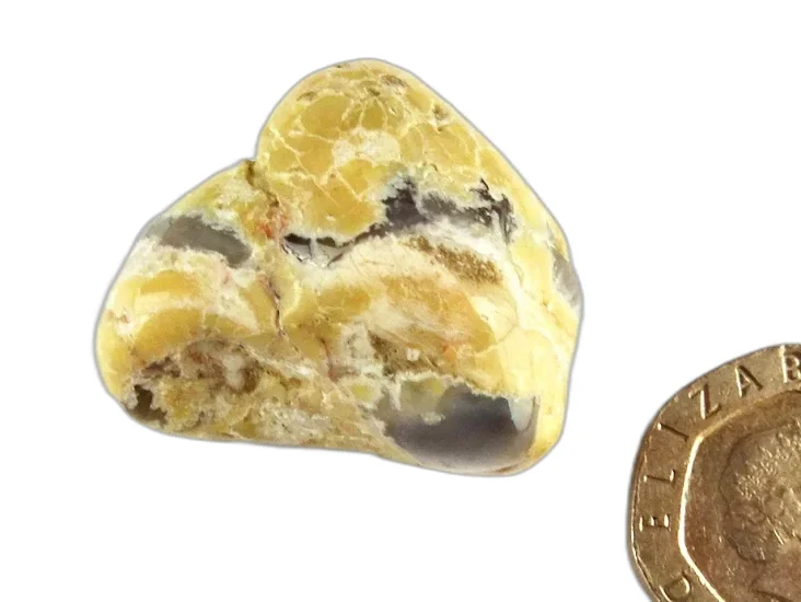 (image for) Amulet Stone (Thunder Egg): polished nodule
