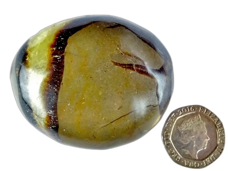 (image for) Septarian Nodule: polished pebble (Madagascar)