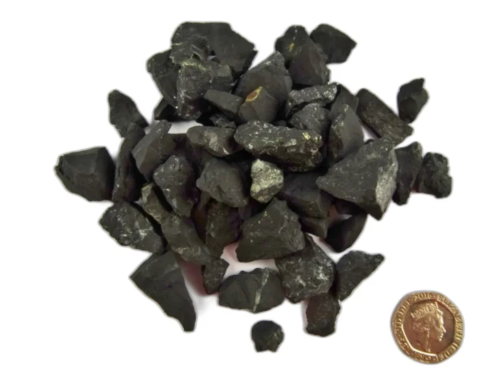 (image for) Shungite: raw