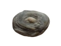 (image for) Chalcedony - Blue: rose