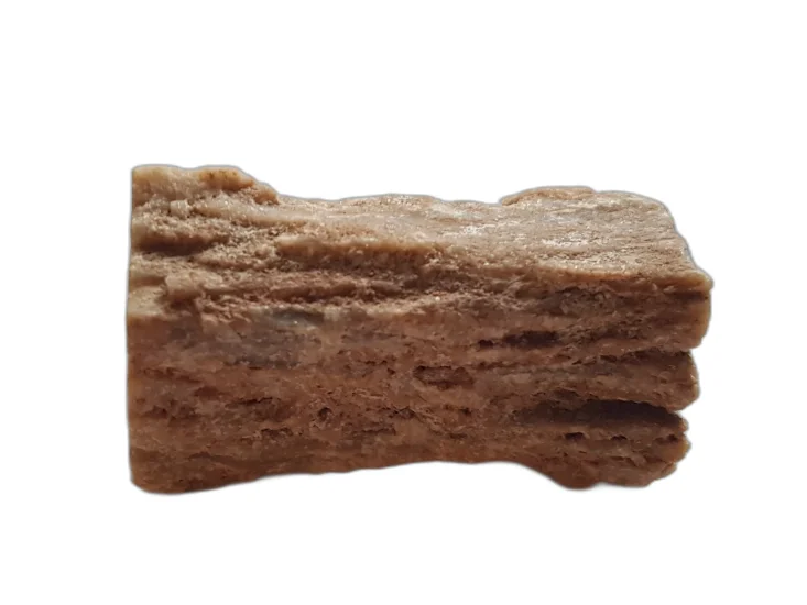 (image for) Petrified (Fossilised) Wood: natural branch