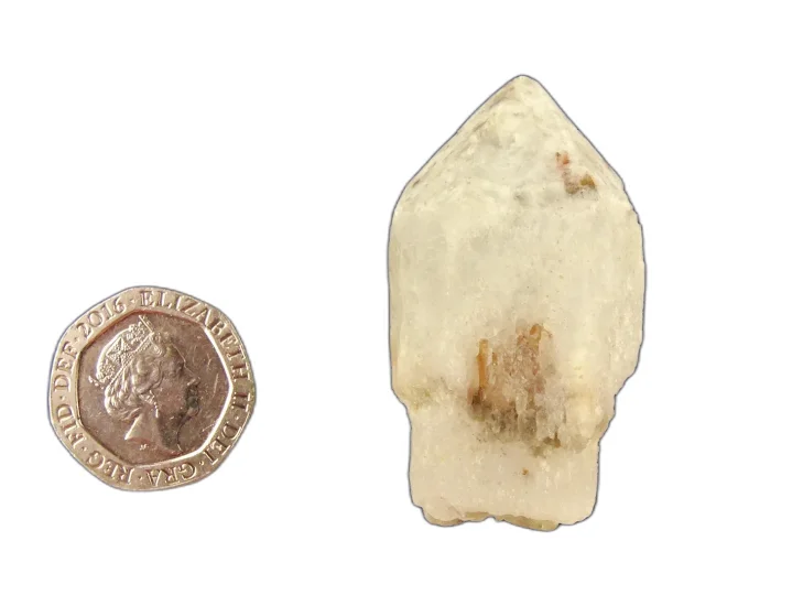 (image for) Clear Quartz: crystals - White Sceptre (large)