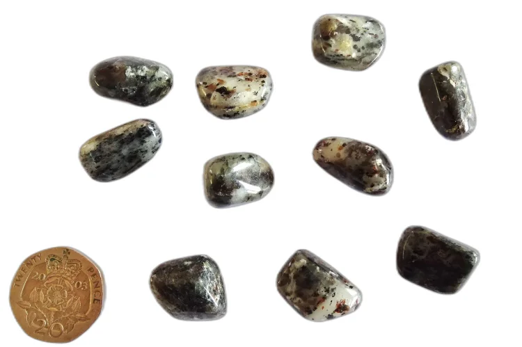 (image for) Astrophyllite: tumbled stones