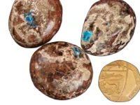 (image for) Cavensite (in matrix): polished nodule (India)