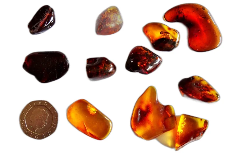 (image for) Amber: polished pieces (xsmall)