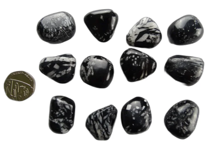 (image for) Chrysanthemum Stone: tumbled stones