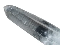 (image for) Lemurian