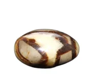 (image for) Septarian Nodule