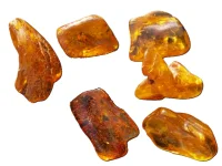 (image for) Amber