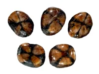 (image for) Andalusite (Chiastolite)