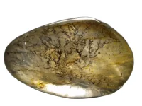 (image for) Dendritic Quartz