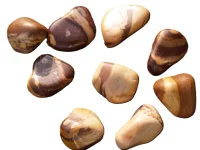 (image for) Bruneau (Cappuccino) Jasper