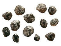 (image for) Apache Tear (Smoky Obsidian)