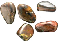 (image for) Tiger Iron