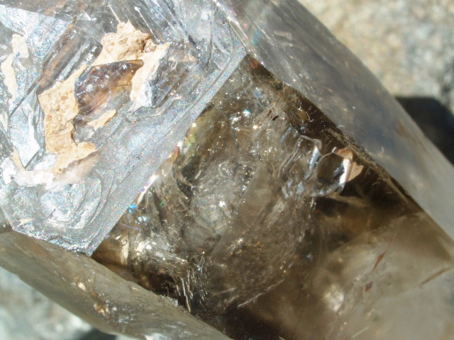 (image for) Smoky Quartz (Brandburg): crystal - Enhydro Phantom Twin - Click Image to Close
