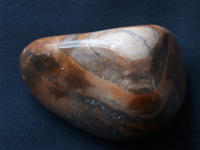 (image for) Petrified (Fossilised) Wood: polished pebble (Madagascar) - Click Image to Close