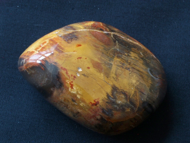 (image for) Petrified (Fossilised) Wood: polished pebble (Madagascar) - Click Image to Close