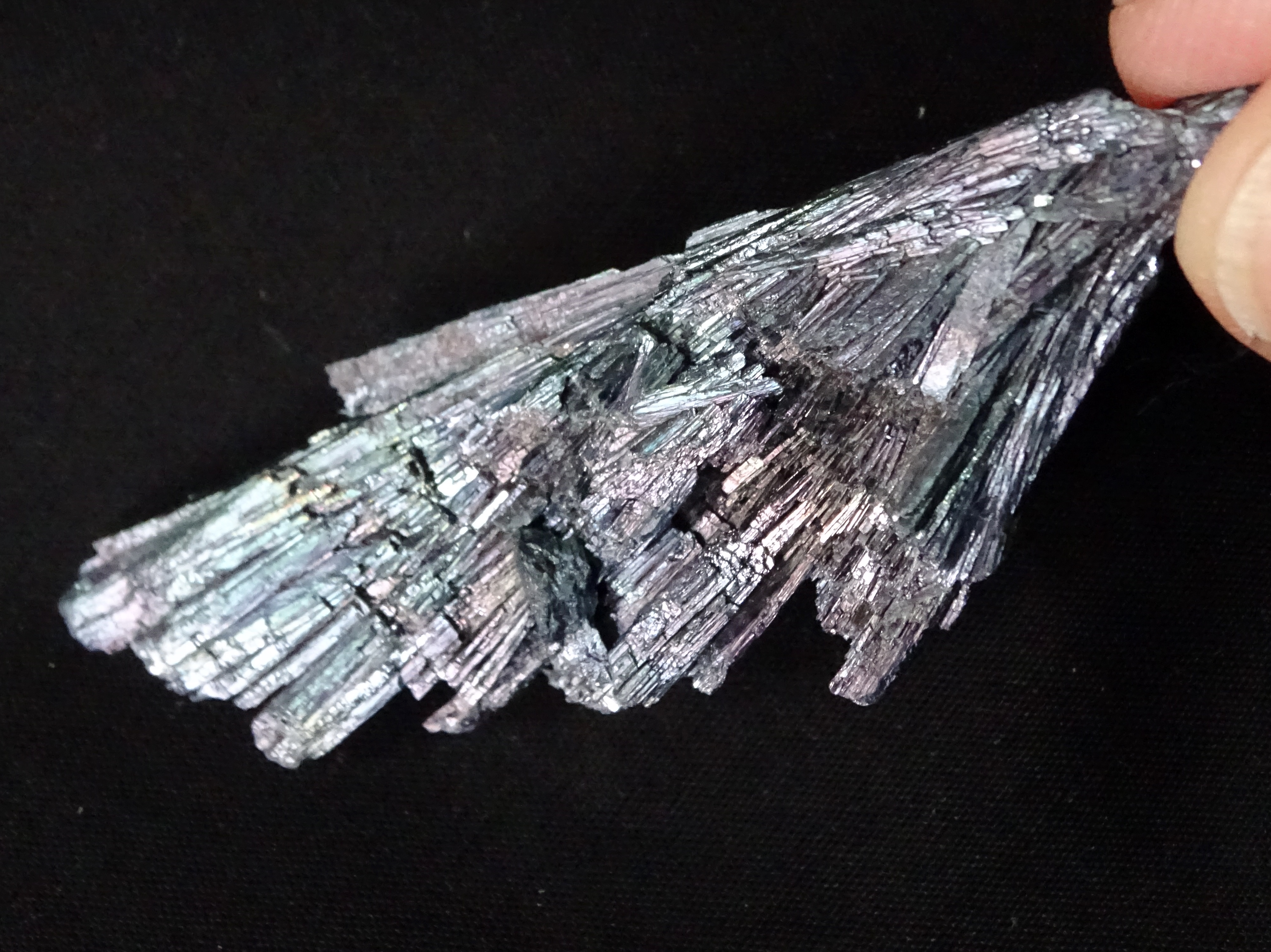 (image for) Kyanite - Angel Wing (Aqua Aura): blade - Click Image to Close