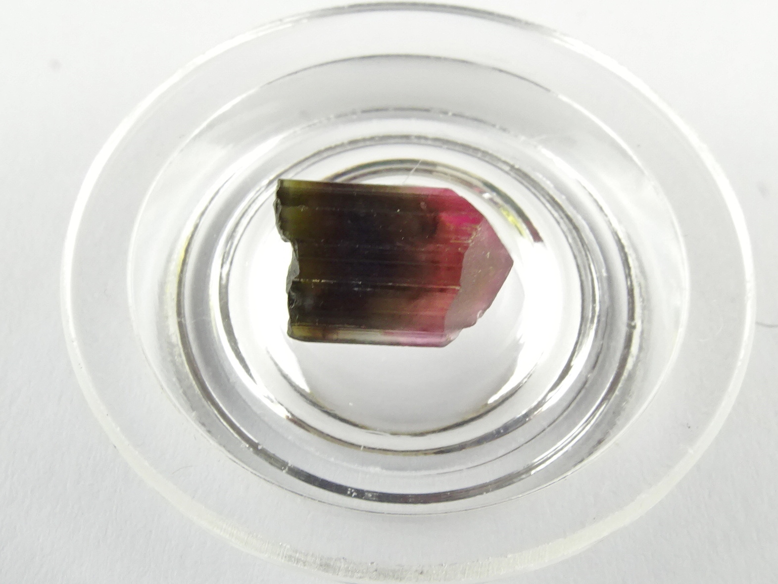 (image for) Tourmaline - Bi coloured: crystal - Click Image to Close
